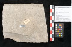 Foto (Objekt + Etikett) von Castanea sativa Miller (NHMW-GEO-2024-0188-15006)
